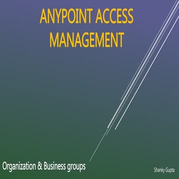 Anypoint access management 