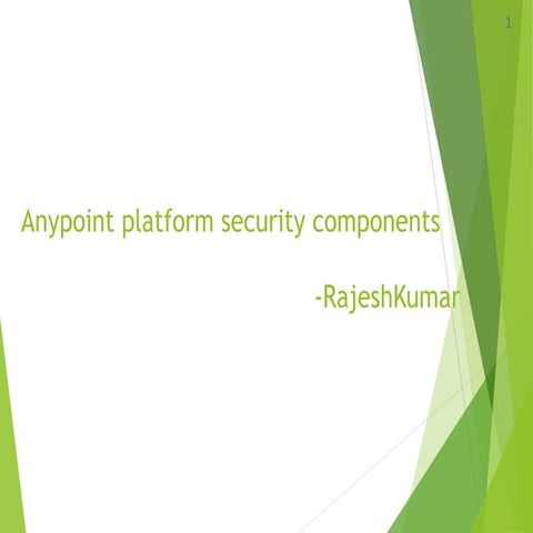 Anypoint platform security components