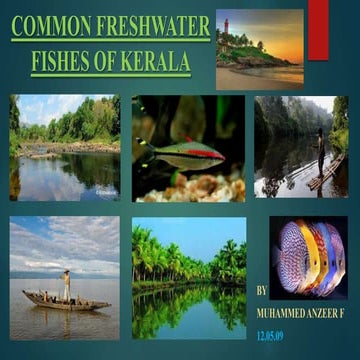 COMMON FRESHWATER FISH(ES) OF KERALA | PPTX