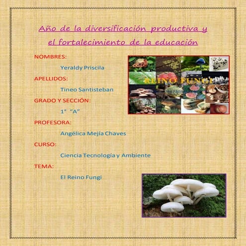 Año de-la-diversificación-productiva-y-el-fortalecimiento-de-la-educación