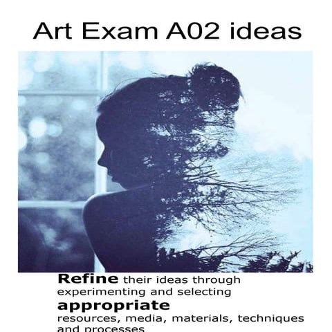 Ao2 experimenting support book