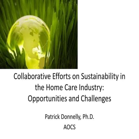 Collaborative Efforts on Sustainability in the Home Care Industry: Opportunit...