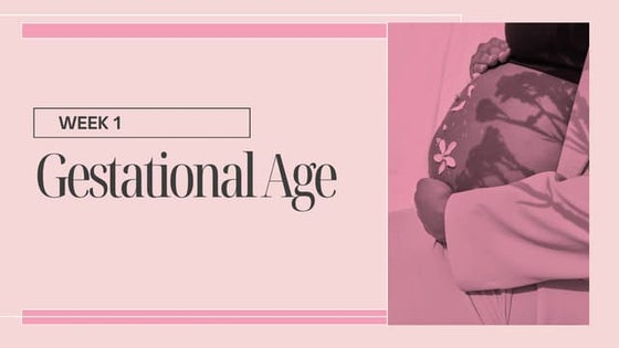 Gravidity and parity - recording system | PPTX