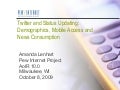 Twitter and Status Updating: Demographics, Mobile Access and News Consumption