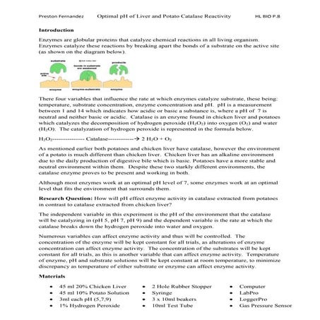 Ao k   human and natural sciences - enzyme lab