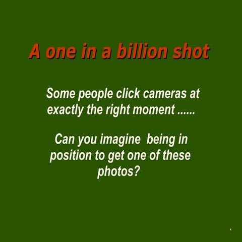 A One In A Billion Shot