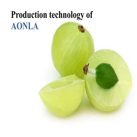 Aonla production technology