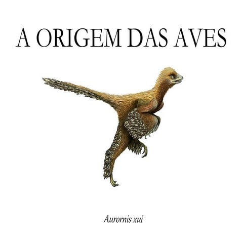 A Origem da Aves | PDF