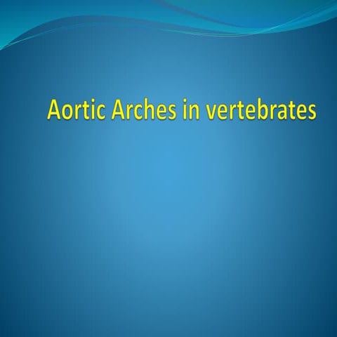 Aortic arches in vertebrates