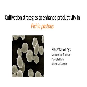 Cultivation strategies to enhance productivity in Pichia pastoris 