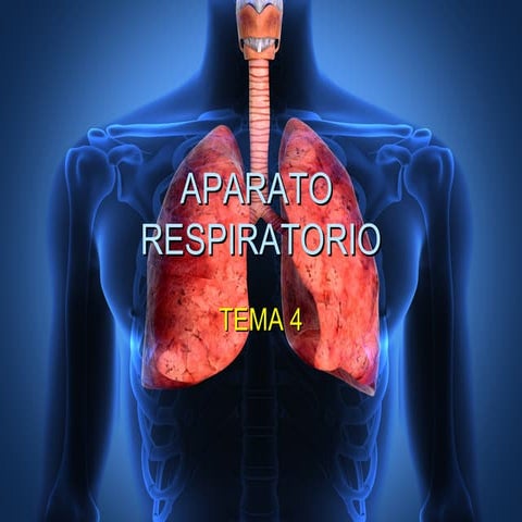Ap. respiratorio