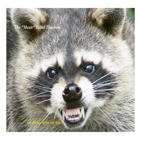 AP Calculus Slides December 5, 2007