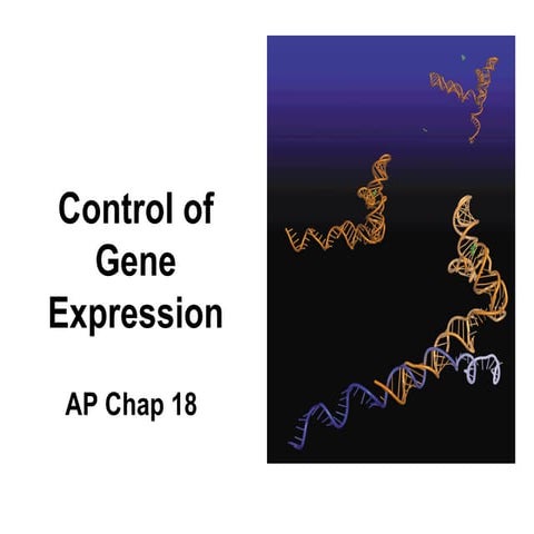 Control of gene expression ppt | PPTX