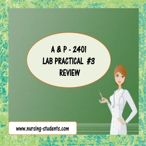 A&p 1   lab practical 3 - review