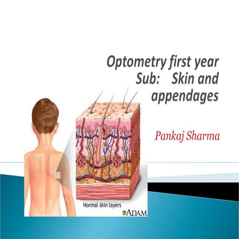 skin ppt