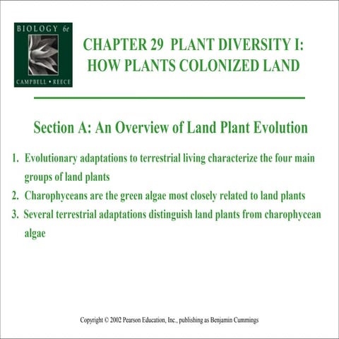 Ap29 plant diversity1