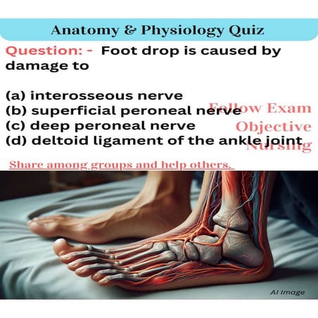 Anatomy and physiology MCQ | Nursing MCQ Set-101 |
