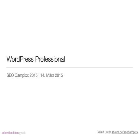 WordPress Professional – SEO Campixx