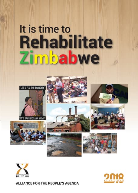 APA Zimbabwe 2018 elections manifesto
