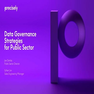 Data Governance Strategies for Public Sector