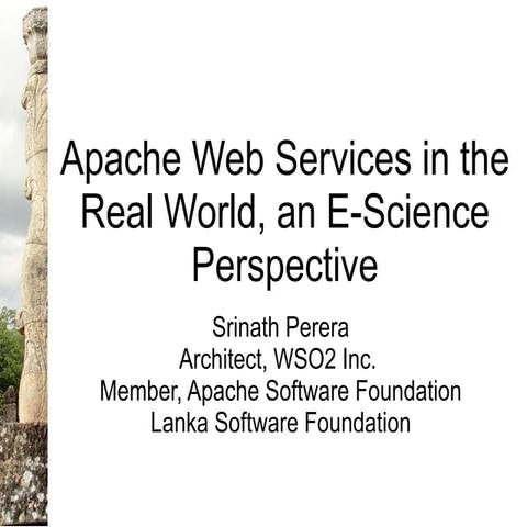 Apache Web Services in the Real World, an E-Science Perspective