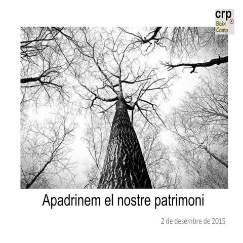 Apadrinem 2 de desembre