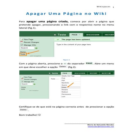 Apagar Pagina Wiki