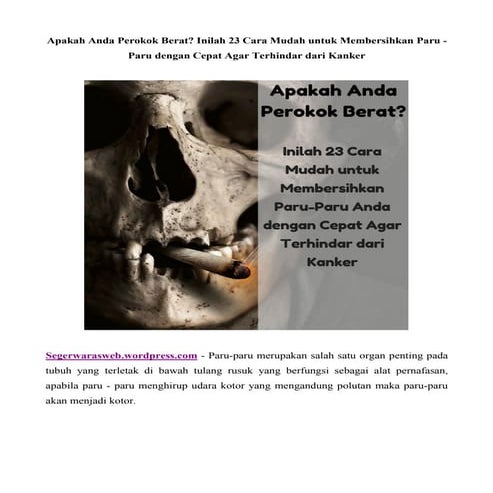 Apakah anda perokok berat inilah 23 cara mudah untuk membersihkan paru   paru...