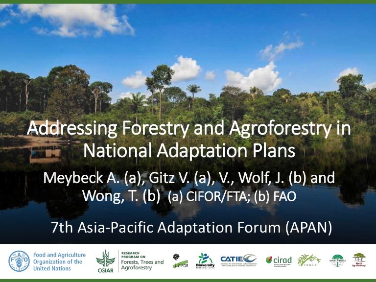 thumbnail of  Addressing Forestry and Agroforestry in National Adaptation Plans