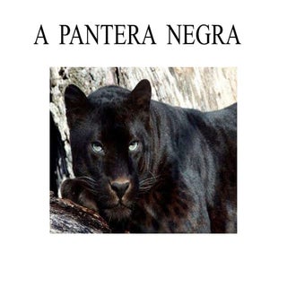 A  pantera  negra