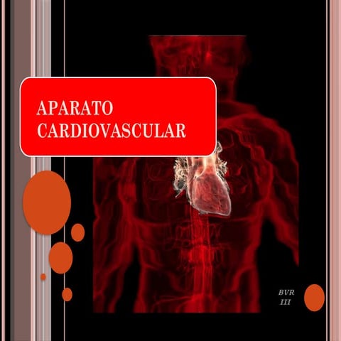 aparato-circulatorio-cardiovascular.pptx