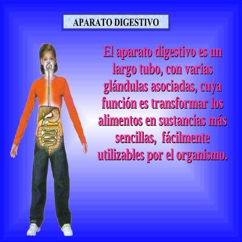 APARATO DIGESTIVO