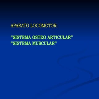 Aparato locomotor: completo