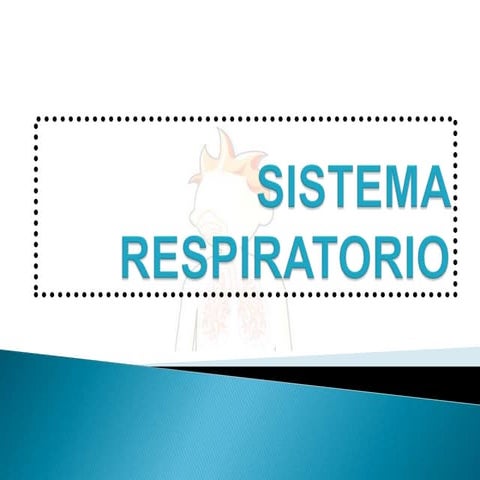 Aparato Respiratorio