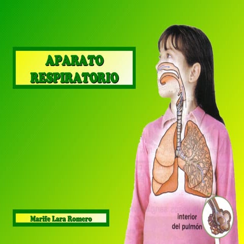 APARATO RESPIRATORIO