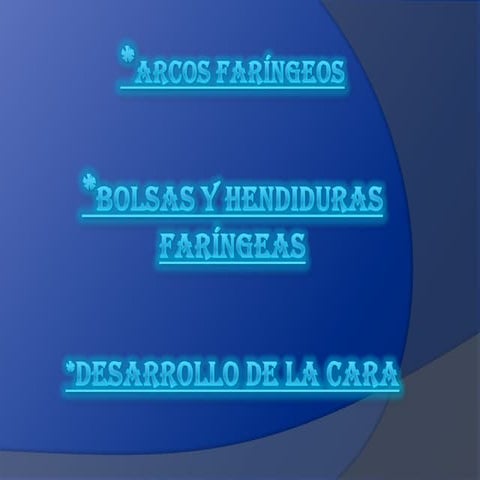 Aparato branquial o faríngeo