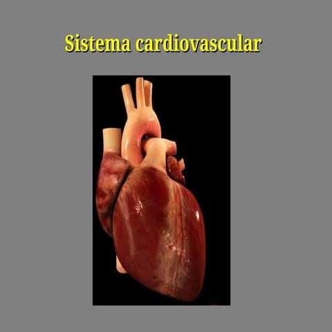 Aparato cadiovascular 2025.pptm  ,mf,lmsdnlmdsnalMND,MN CD,