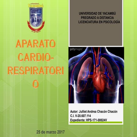 Aparato cardiorespiratorio julliet chacon
