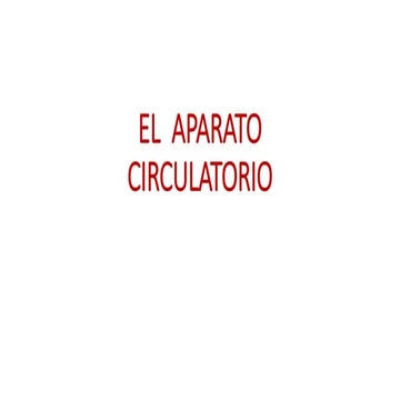 Aparato circulatorio