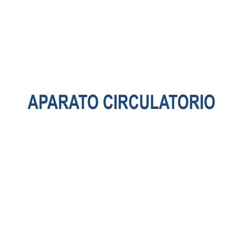 Aparato circulatorio