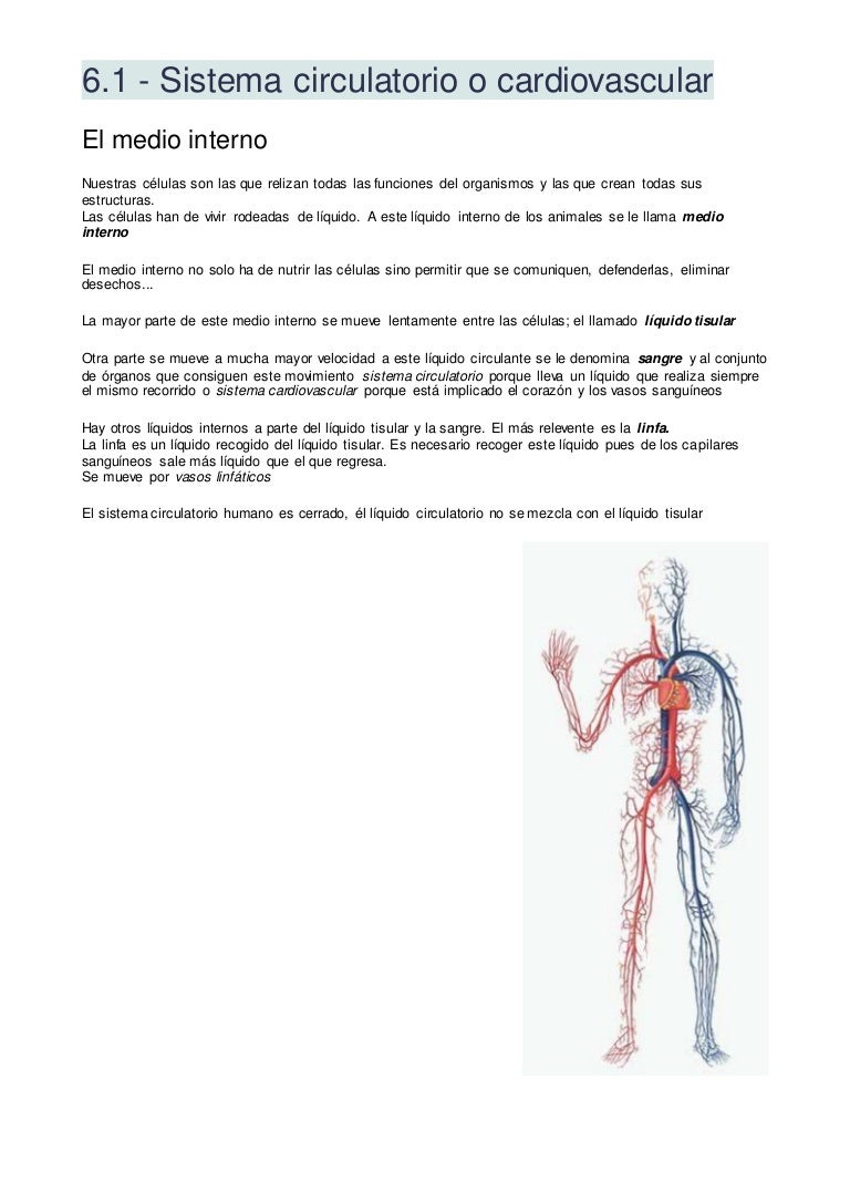 el exceso de líquido se escapa del pene durante una erección