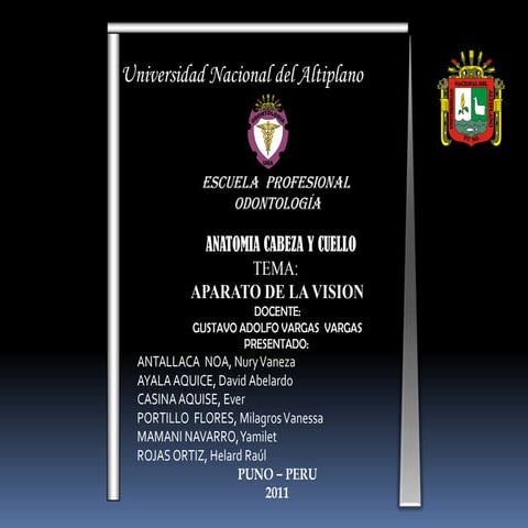 Aparato de la vision