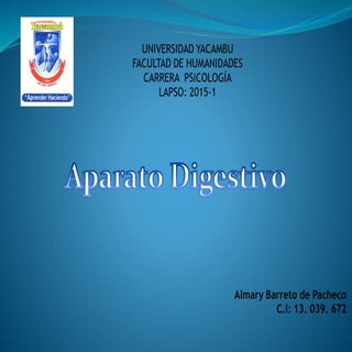 Aparato digestivo