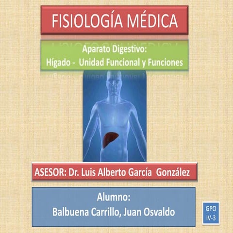 Aparato digestivo   higado - unidad funcional y funciones de higado