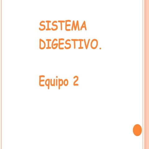 Aparato digestivo humano equipo 2