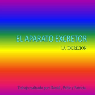 Aparato excretor