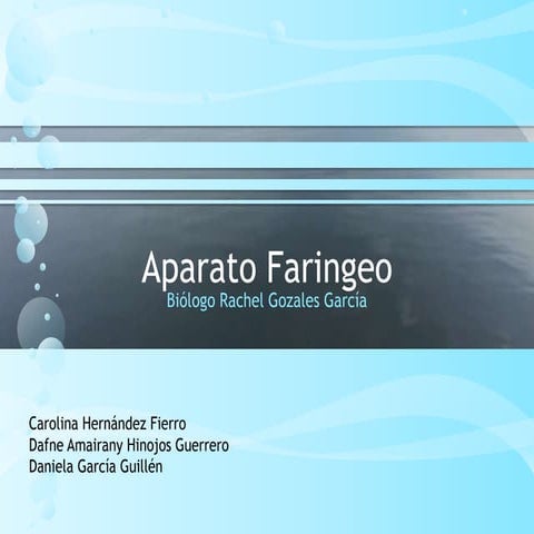 Aparato faringeo primera parte