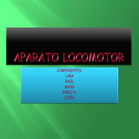 Aparato locomotor