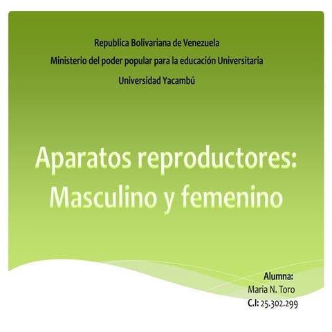 Aparato reproductor