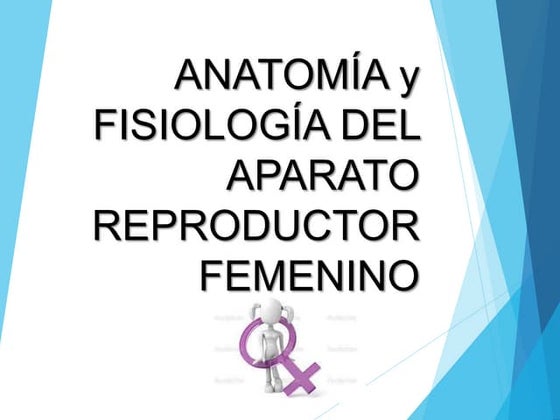 Anatomía Y Fisiología Del Sistema Reproductor Masculino Ppt